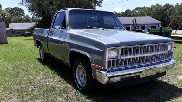 1981 Smoke grey Chevrolet Other Pickups Standard cab short box