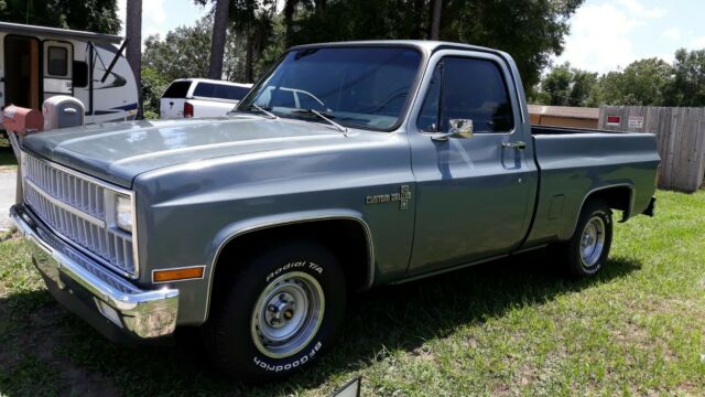 1981 Smoke grey Chevrolet Other Pickups Standard cab short box