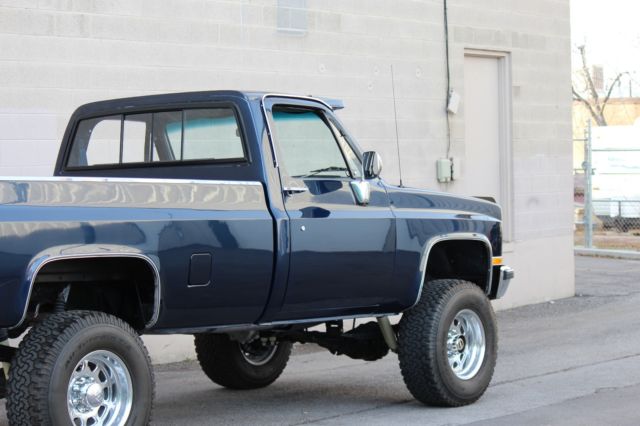 1981 Blue Chevrolet Other Pickups Standard Cab Pickup
