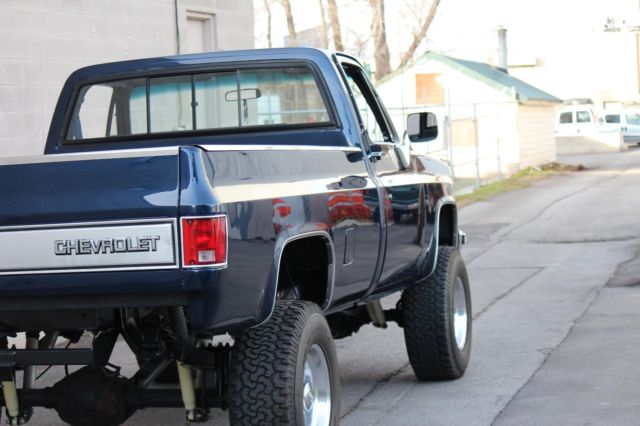 1981 Blue Chevrolet Other Pickups Standard Cab Pickup