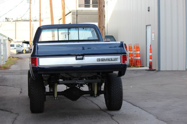 1981 Blue Chevrolet Other Pickups Standard Cab Pickup