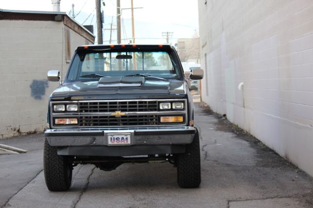 1981 Blue Chevrolet Other Pickups Standard Cab Pickup