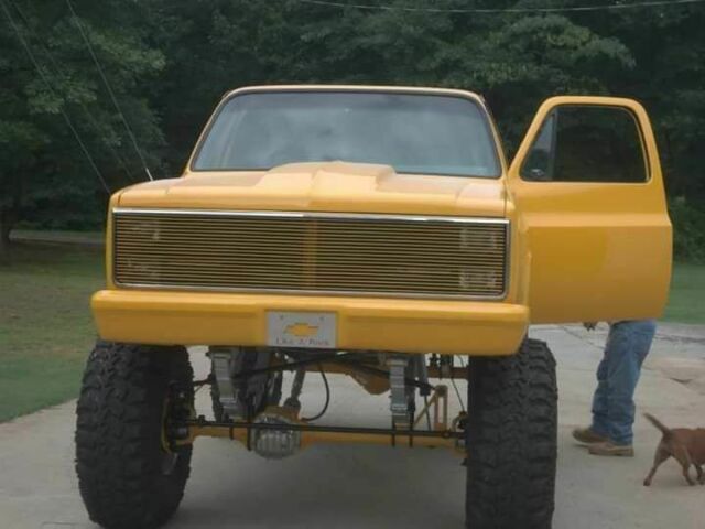 1981 Chevrolet C-10