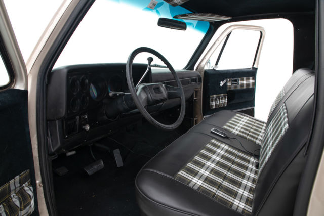 1981 Gold Chevrolet C-10 Truck
