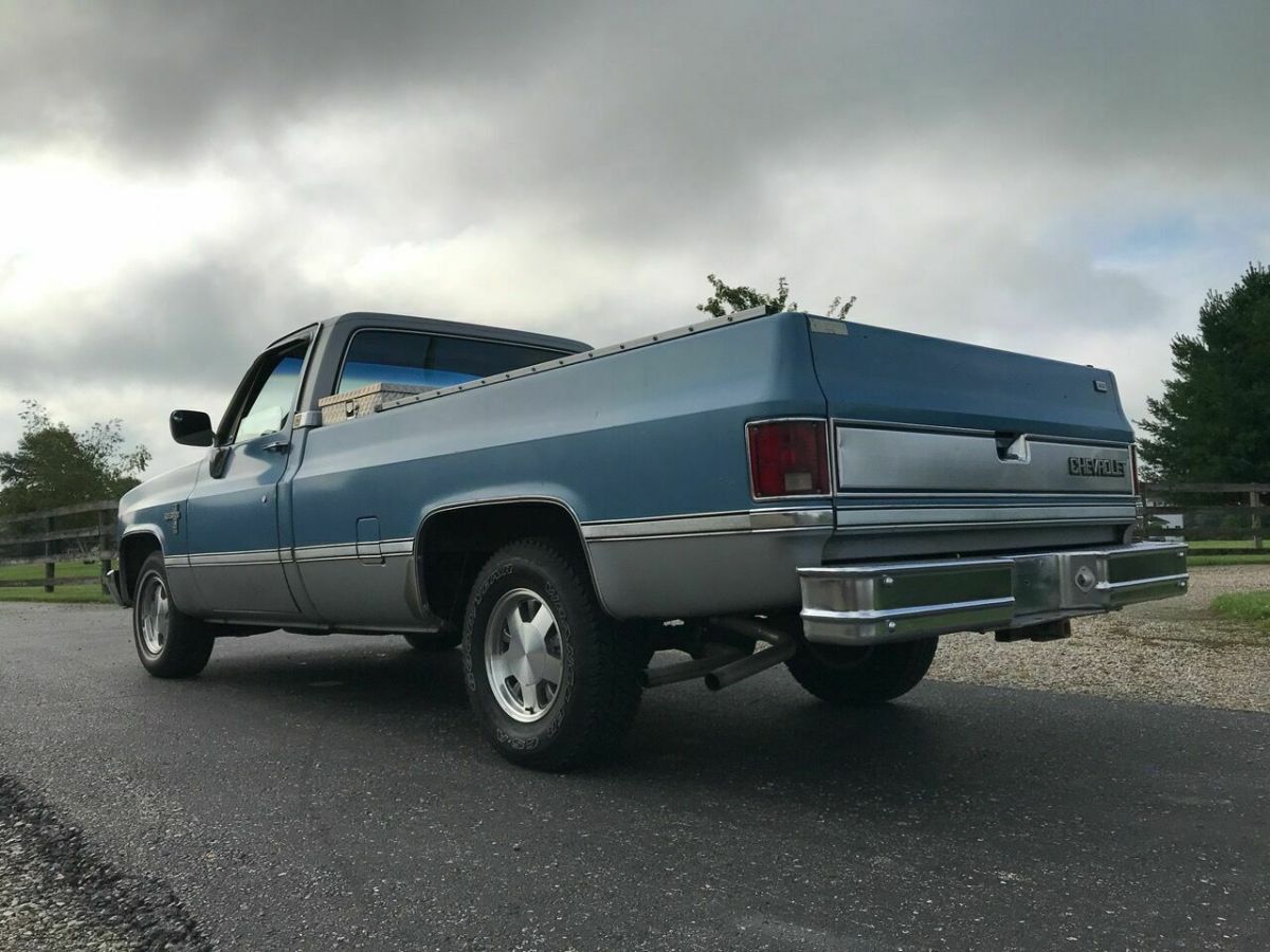 1981 Blue Chevrolet Other Pickups Pickup Truck