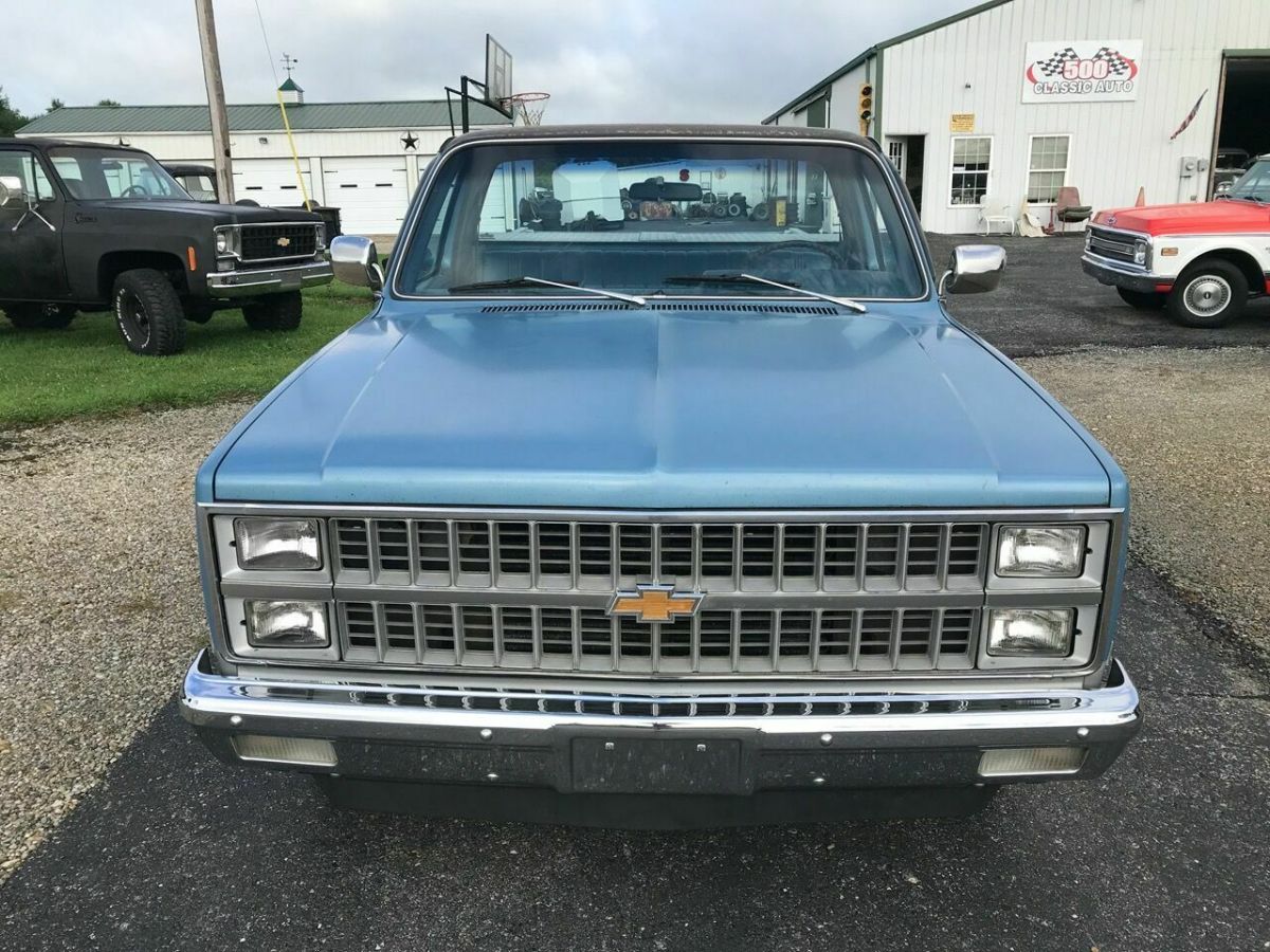1981 Blue Chevrolet Other Pickups Pickup Truck