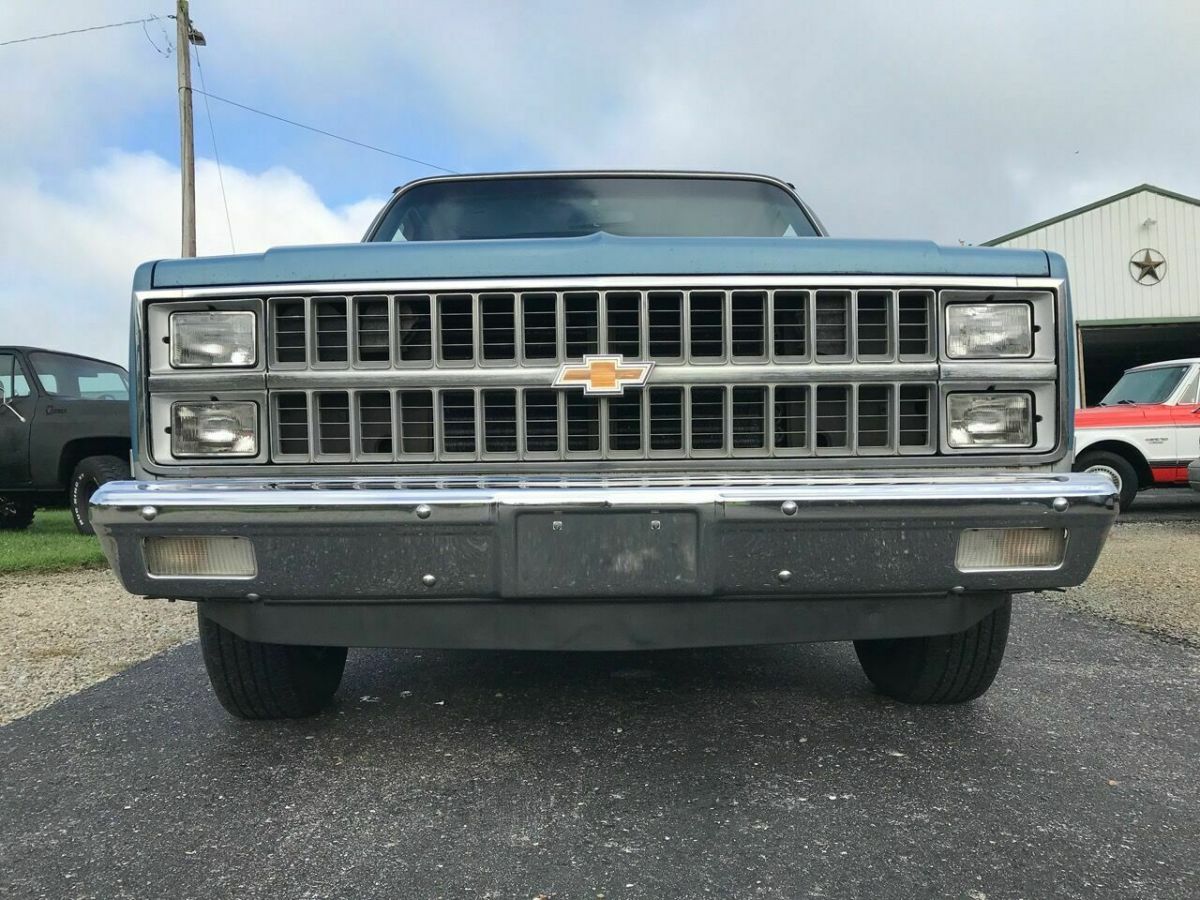 1981 Blue Chevrolet Other Pickups Pickup Truck