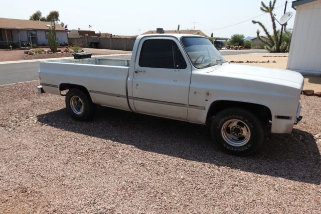 1981 Gray Chevrolet Other Pickups