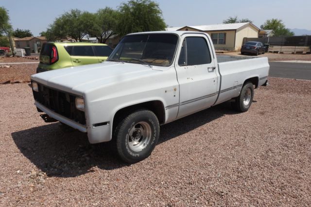 1981 Gray Chevrolet Other Pickups