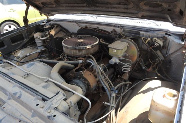 1981 Gray Chevrolet Other Pickups