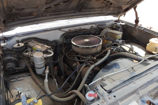 1981 Gray Chevrolet Other Pickups