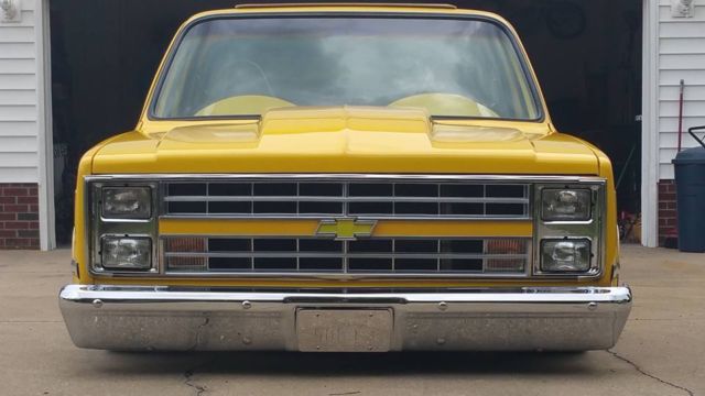 1981 Blue Chevrolet C-10