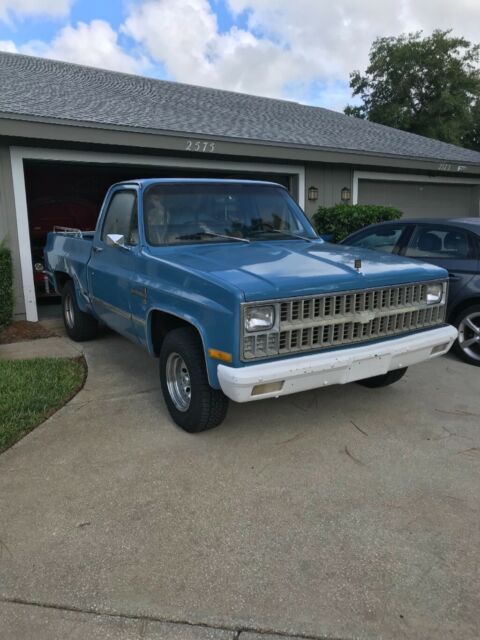 1981 Blue Chevrolet C-10 Standard Cab Pickup