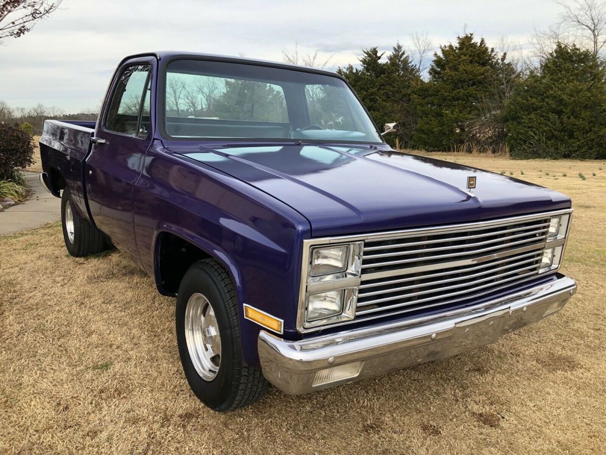 1981 Blue Chevrolet C-10 Standard Cab Pickup