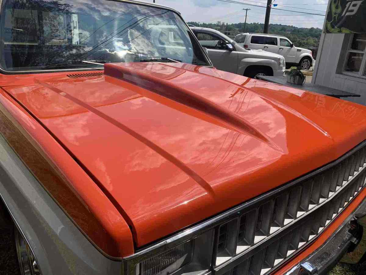 1981 Orange Chevrolet C10 Pickup
