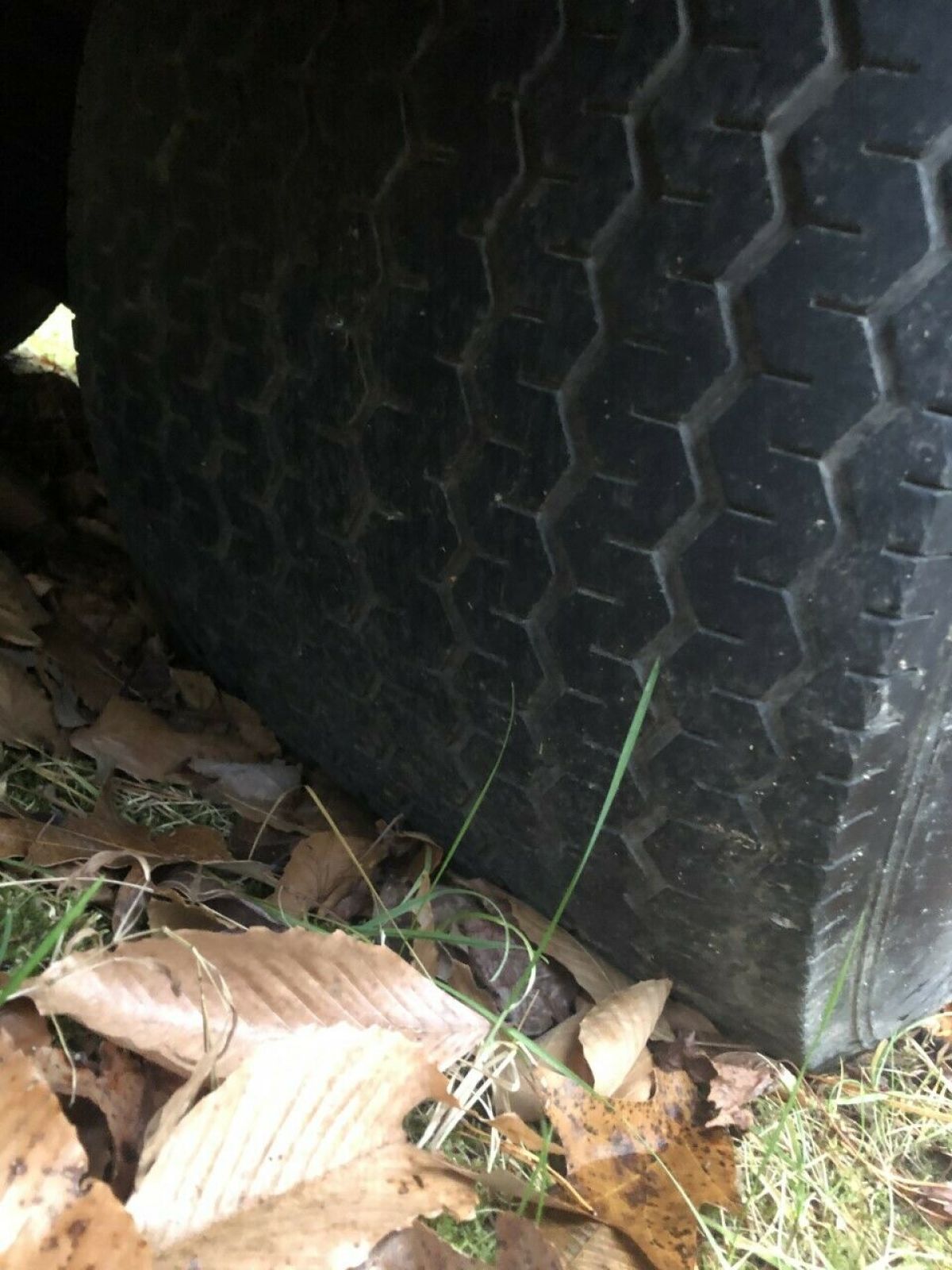 1981 Red Chevrolet C-10 Standard Cab Pickup