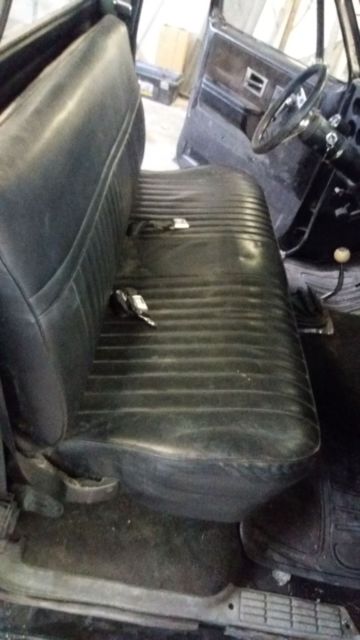 1981 Black Chevrolet C-10 Standard Cab Pickup