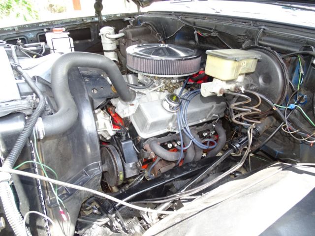 1981 Chevrolet C-10