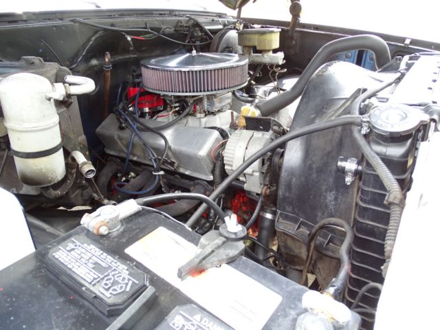 1981 Chevrolet C-10