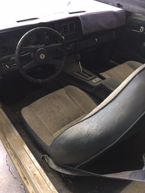 1981 White Chevrolet Camaro Coupe