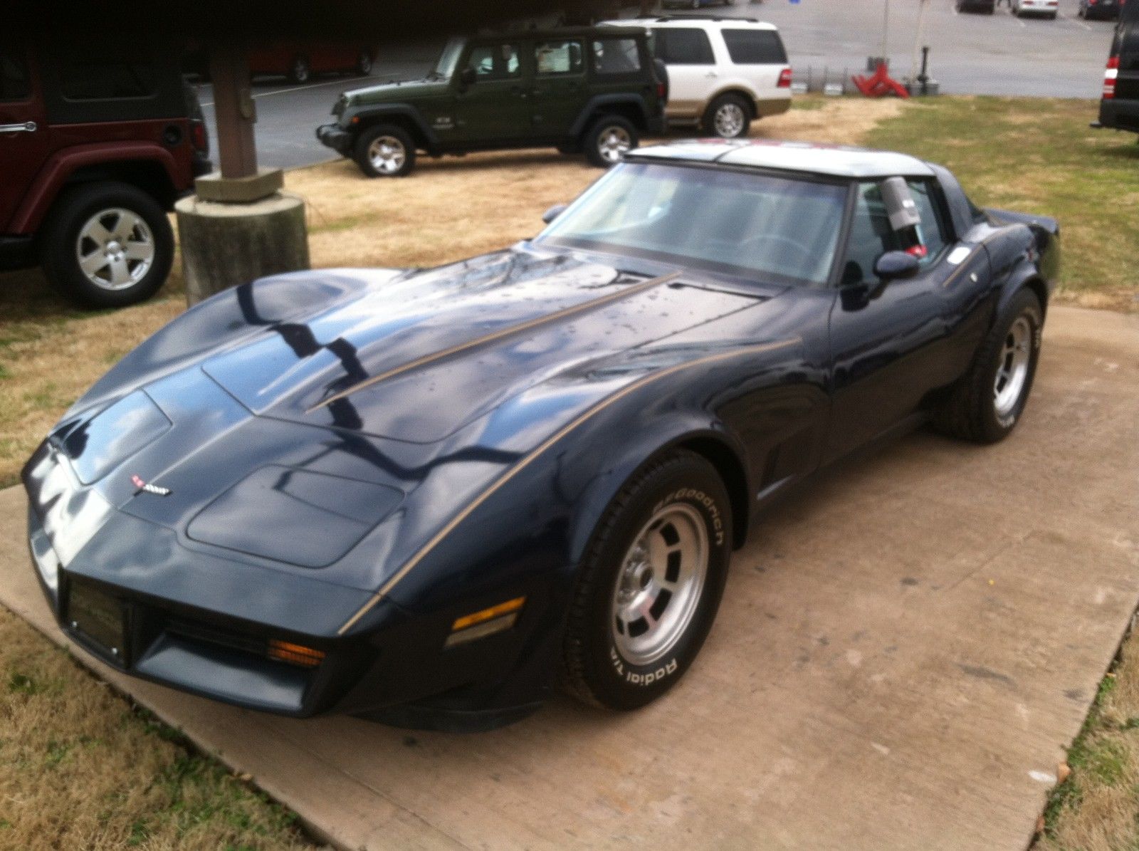 1981 Blue Chevrolet Corvette Coupe