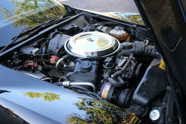 1981 Black Chevrolet Corvette 30k Miles, Blk/Blk, VIDEO