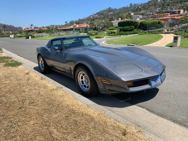 1981 Gray Chevrolet Corvette Coupe