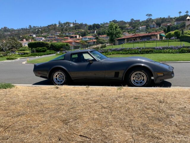 1981 Gray Chevrolet Corvette Coupe