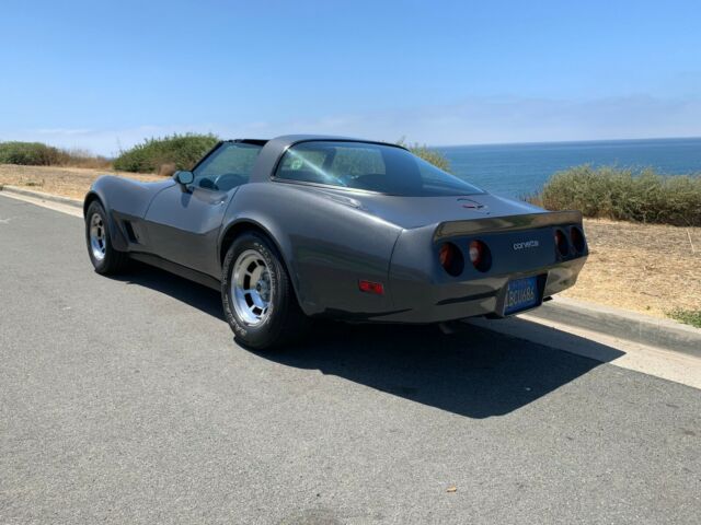 1981 Gray Chevrolet Corvette Coupe