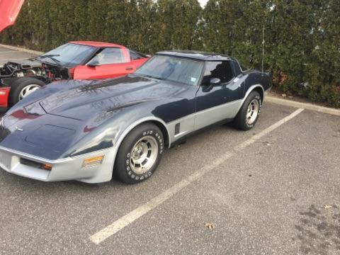 1981 Blue & Grey Chevrolet Corvette Coupe