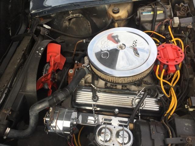 1981 Blue & Grey Chevrolet Corvette Coupe