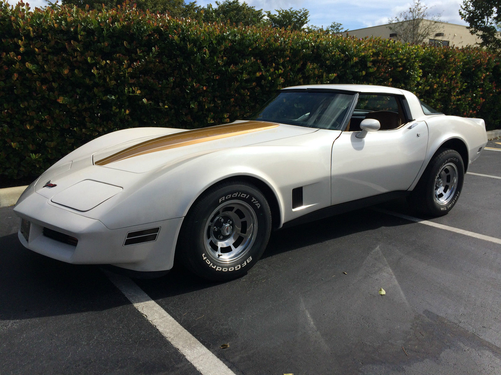 1981 White Chevrolet Corvette T-Top Coupe