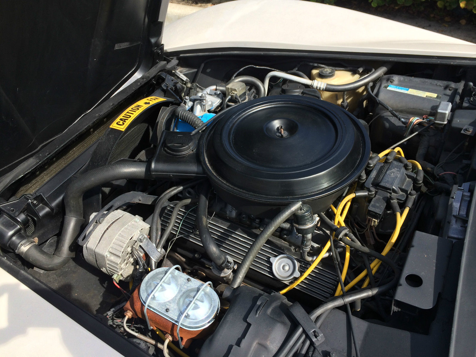 1981 White Chevrolet Corvette T-Top Coupe