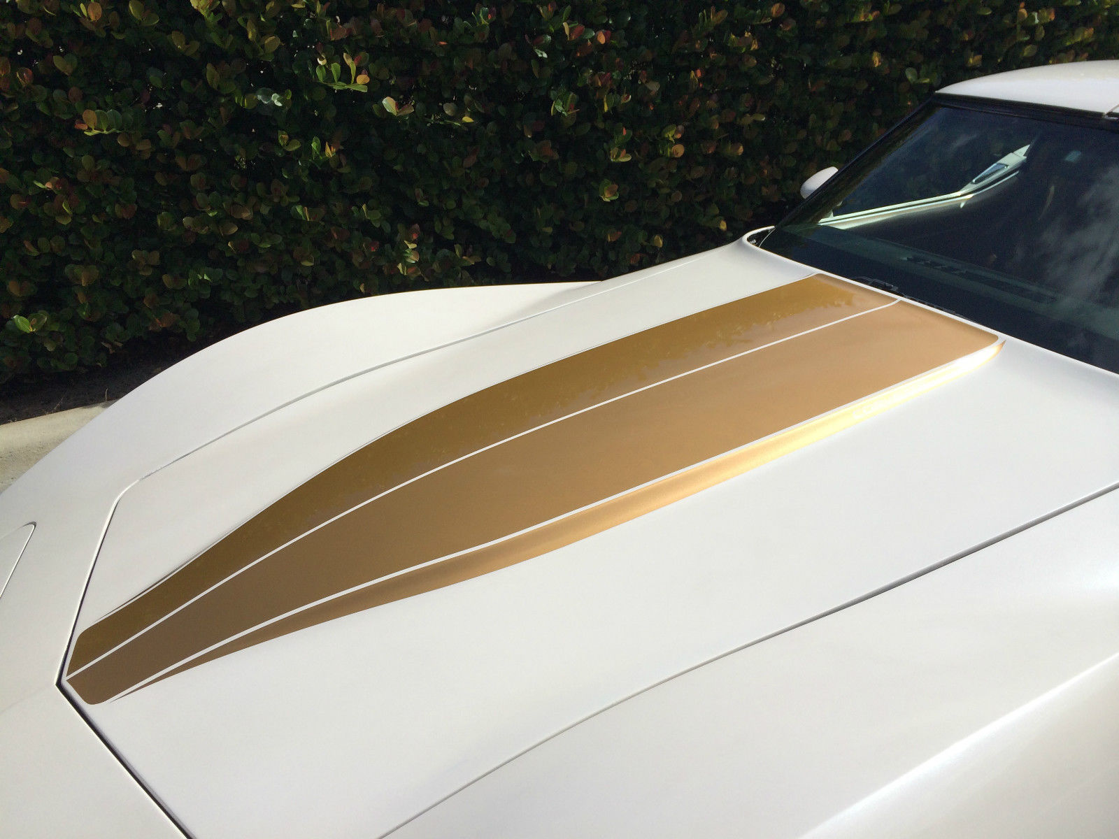 1981 White Chevrolet Corvette T-Top Coupe