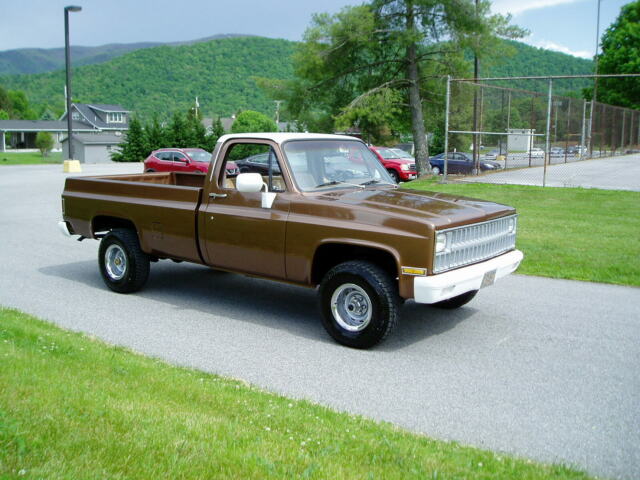 1981 Brown Chevrolet C/K Pickup 1500 Regular Cab Pickup
