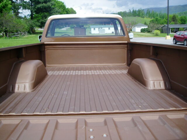 1981 Brown Chevrolet C/K Pickup 1500 Regular Cab Pickup