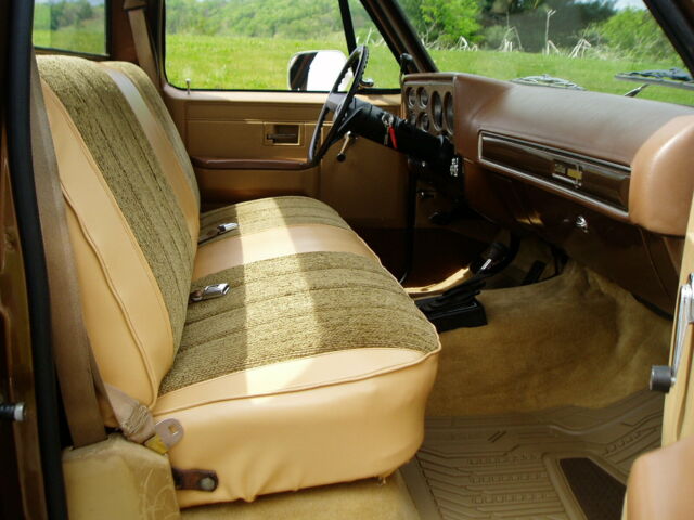 1981 Brown Chevrolet C/K Pickup 1500 Regular Cab Pickup