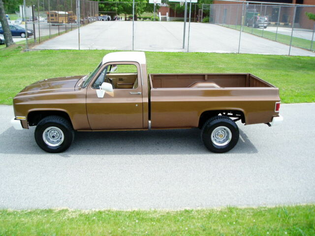 1981 Brown Chevrolet C/K Pickup 1500 Regular Cab Pickup