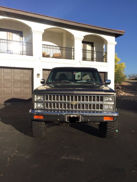 1981 Gray Chevrolet C/K Pickup 1500 Standard Cab Pickup