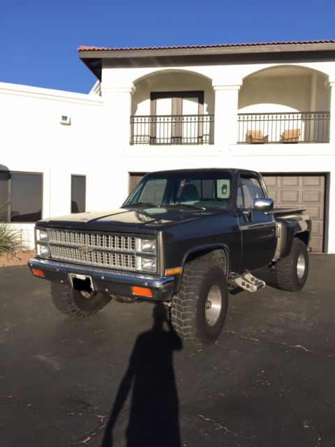 1981 Gray Chevrolet C/K Pickup 1500 Standard Cab Pickup