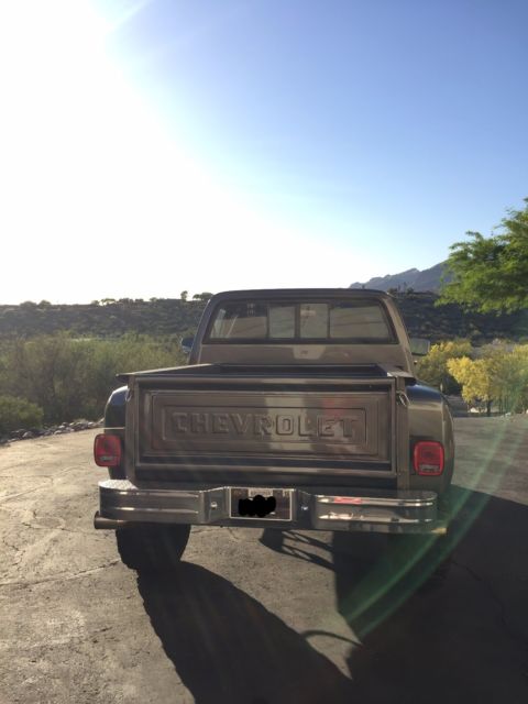 1981 Gray Chevrolet C/K Pickup 1500 Standard Cab Pickup