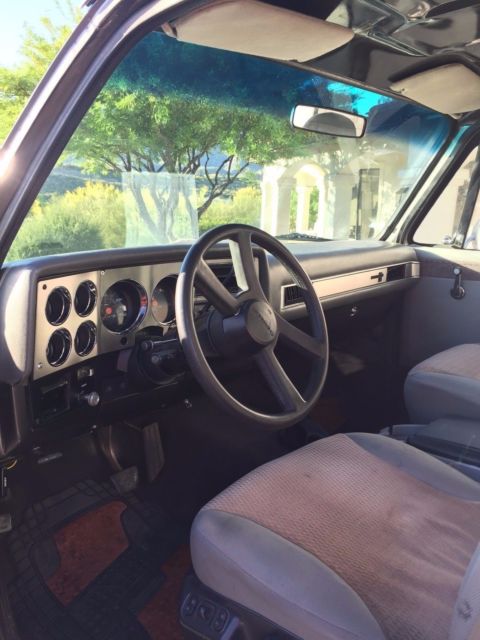 1981 Gray Chevrolet C/K Pickup 1500 Standard Cab Pickup