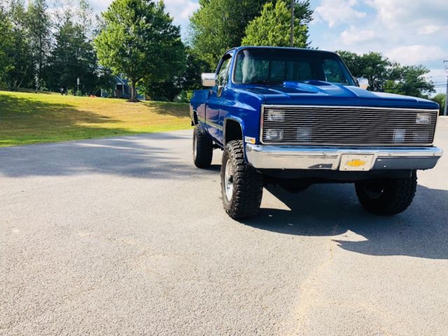 1981 FIJI BLUE PEARL Chevrolet K10 Pickup REGULAR CAB PICKUP