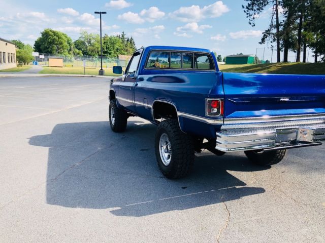 1981 FIJI BLUE PEARL Chevrolet K10 Pickup REGULAR CAB PICKUP