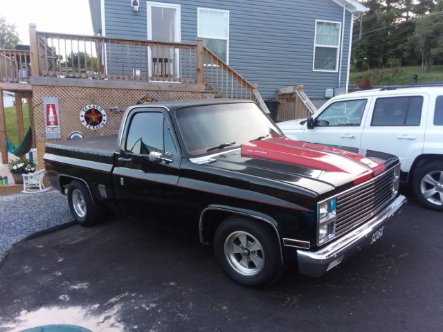 1981 Black Chevrolet Other Pickups Standard Cab Pickup