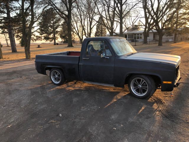 1981 Gray Chevrolet C10 Pickup Cab & Chassis