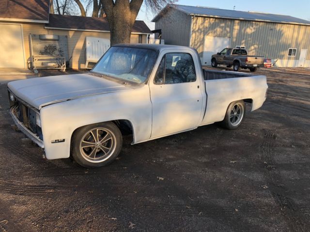 1981 Gray Chevrolet C10 Pickup Cab & Chassis
