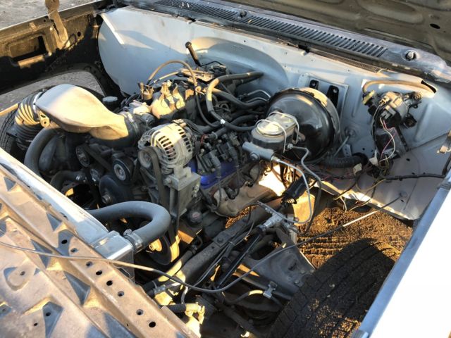 1981 Gray Chevrolet C10 Pickup Cab & Chassis