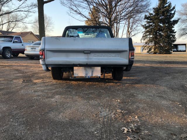 1981 Gray Chevrolet C10 Pickup Cab & Chassis