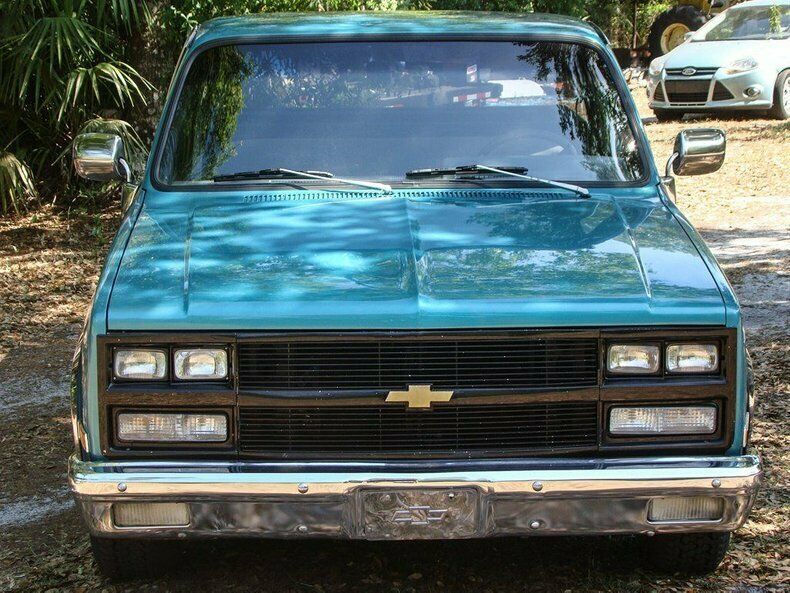 1981 Turquoise Chevrolet Silverado 1500 REG CAB